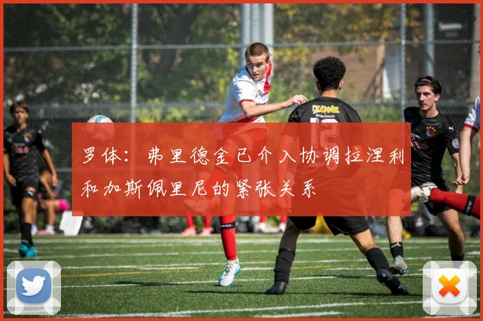 罗体：弗里德金已介入协调拉涅利和加斯佩里尼的紧张关系